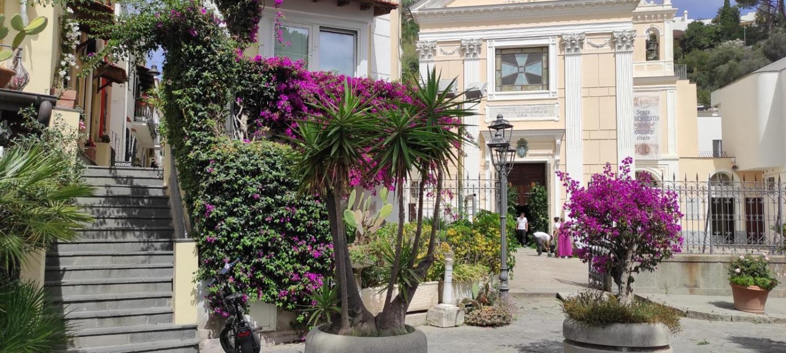 이스키아 La Casa Rosa Di Giulia 빌라 외부 사진